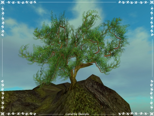 Bonzai Tree by Caverna Obscura