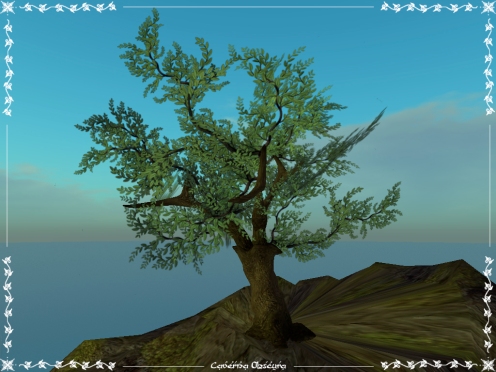 Silver Tree by Caverna Obscura