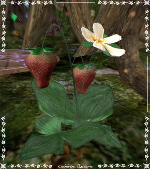 Strawberries by Caverna Obscura
